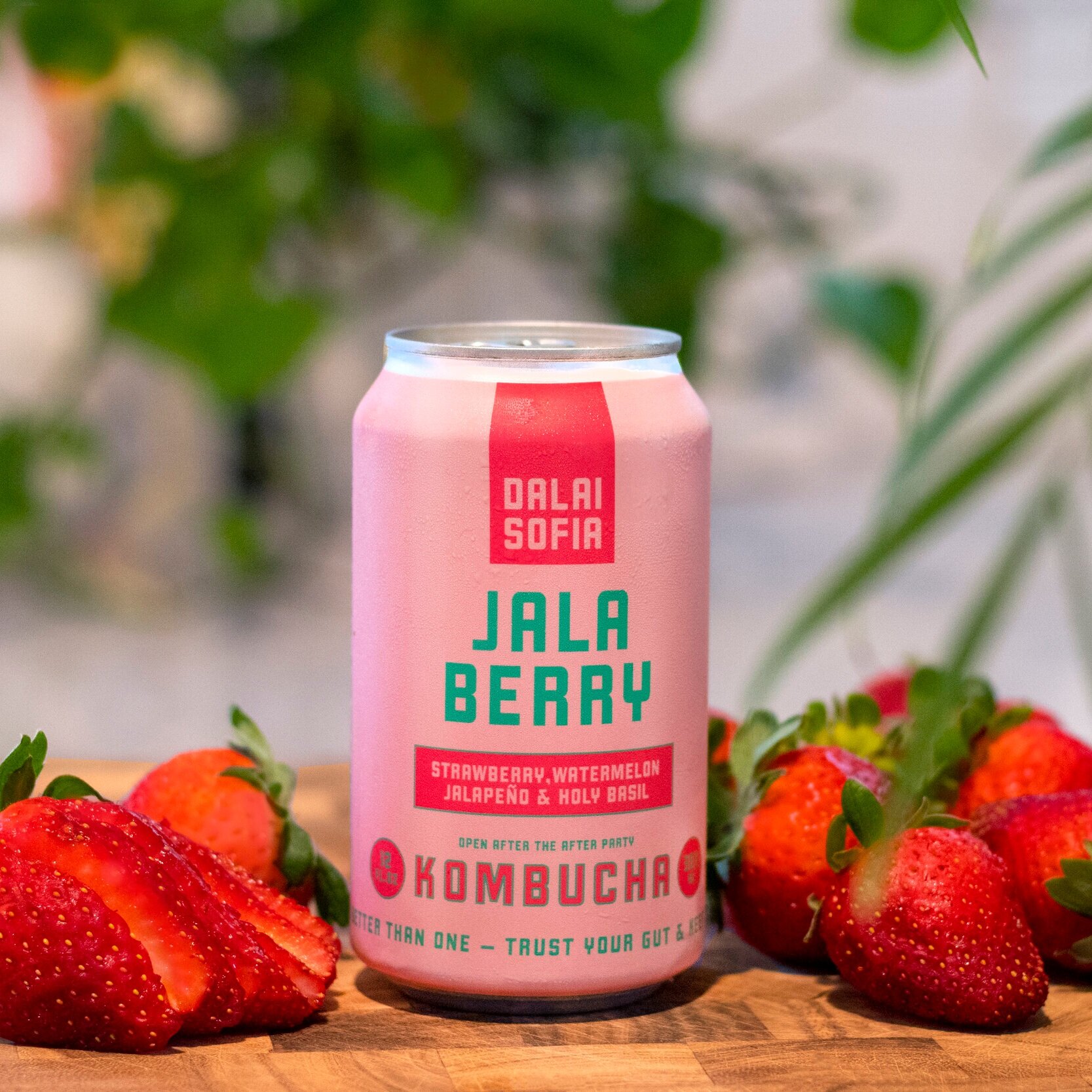 Jala Berry — Dalai Sofia